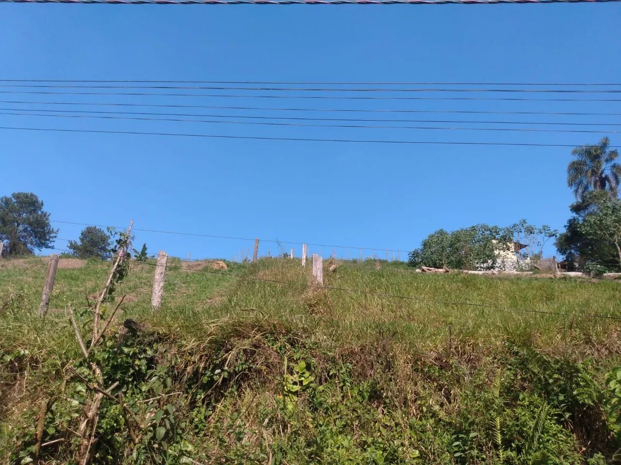 Foto - Ribeirão Pires - Km 4