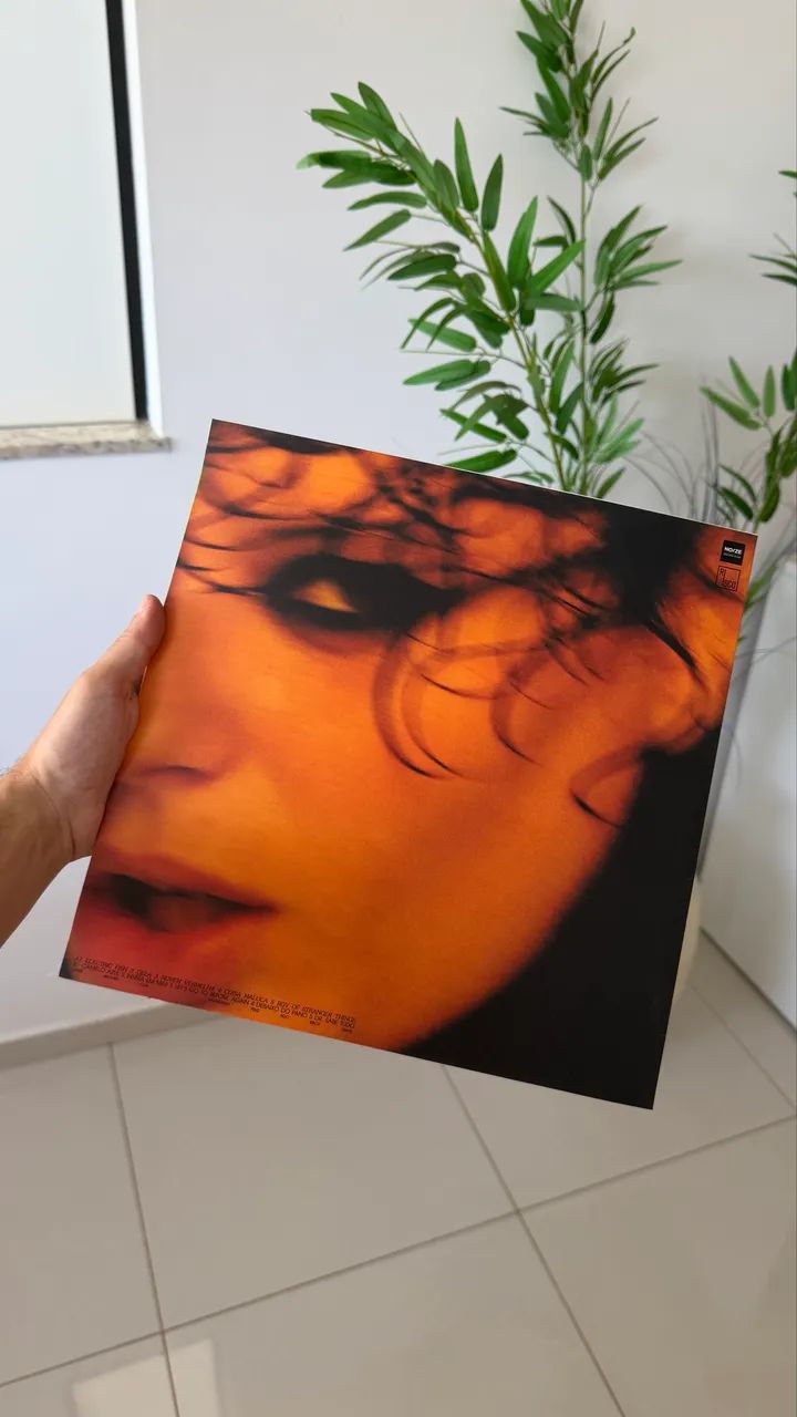 Disco de vinil LP Ana Frango Elétrico - Me Chama de Gato - Noize + revista - Foto 2