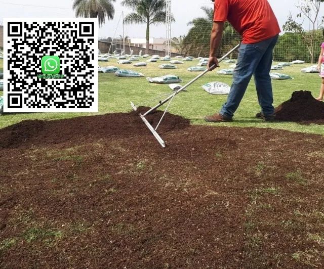 SUBSTRATO PARA GRAMAS - Foto 2