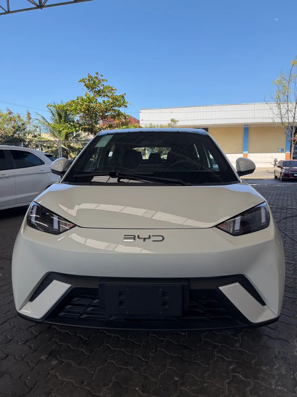 BYD Dolphin EV (Elétrico) 2027 - Foto 2