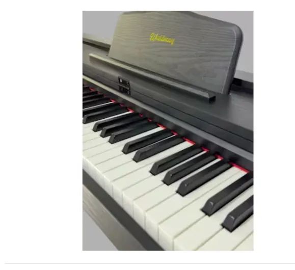 Piano Digital Waldman Staccato Dpst-88 Preto 88 Teclas - Foto 3