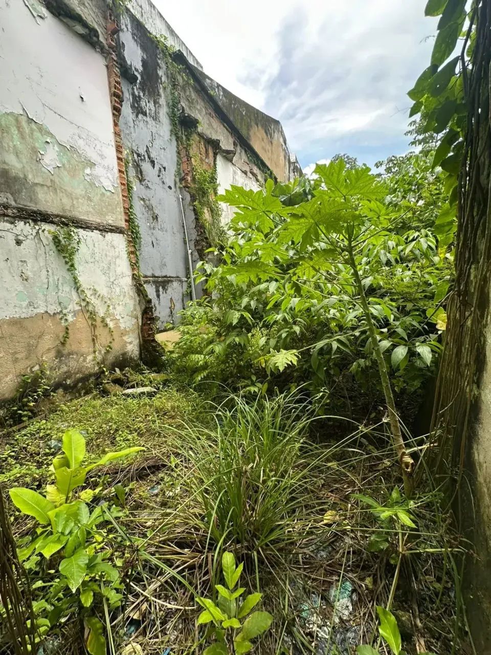 VENDO TERRENO RUA CURUÇA - Foto 5