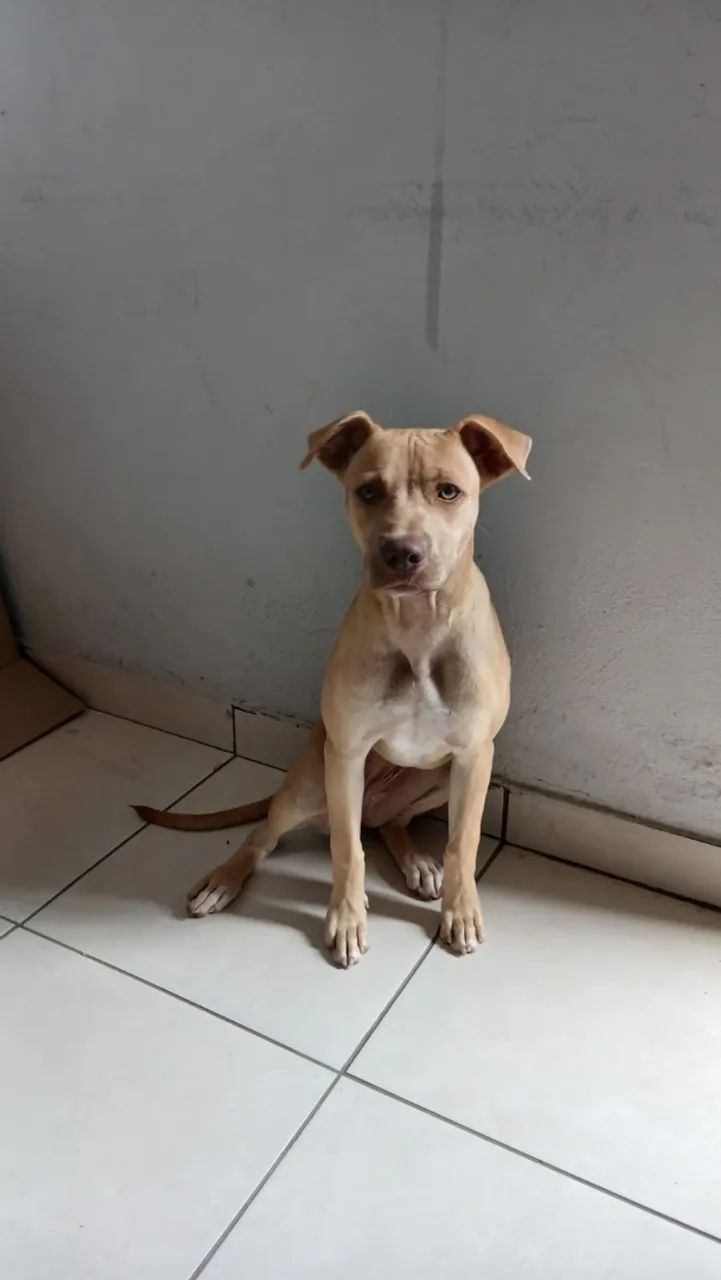 Doação  - Foto 2