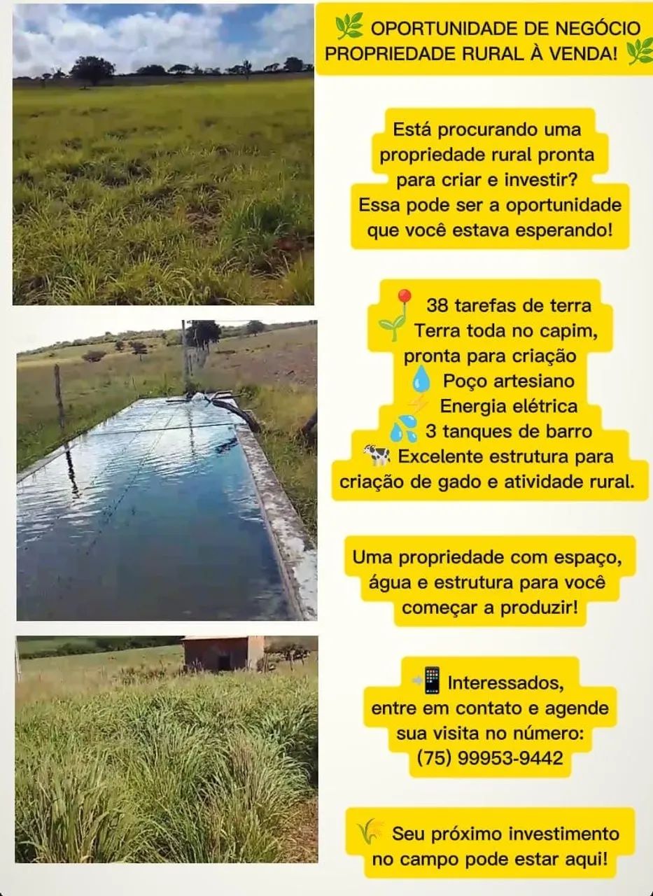Propriedade rural 