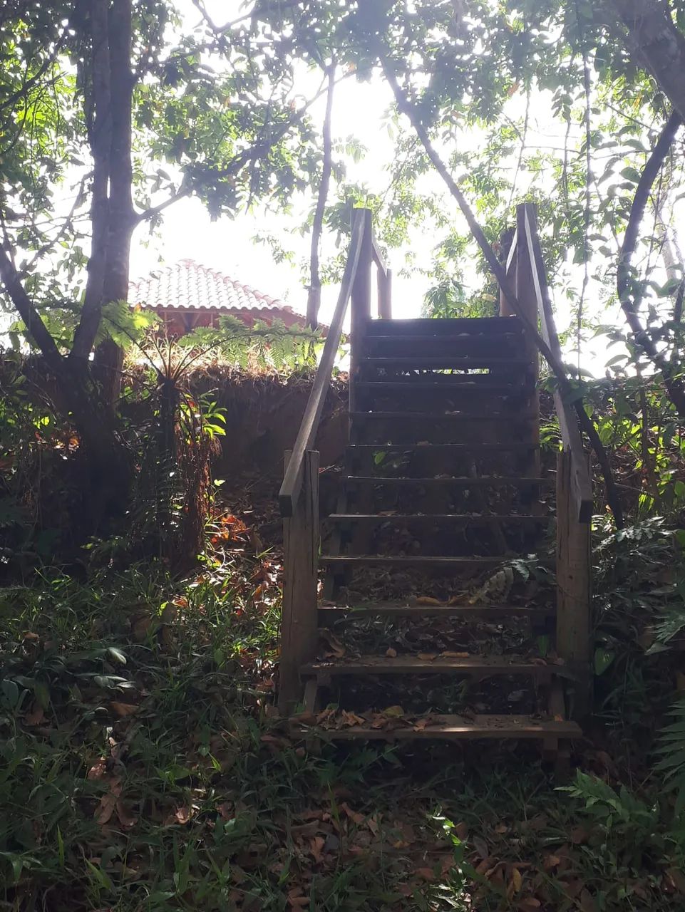 Chácara  Aragoiânia - Foto 5