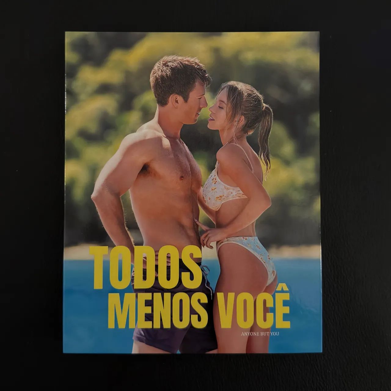 Bluray Todos Menos Você Legendado