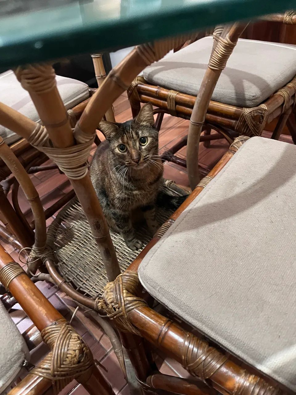 Mesa de bambu com tampo de vidro acompanhado de 4 cadeiras - Foto 3