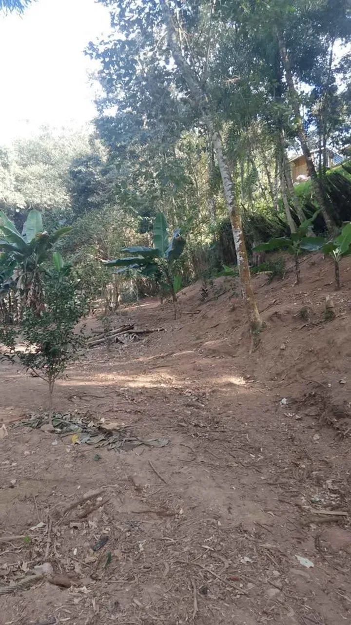 Chácara  - Foto 4