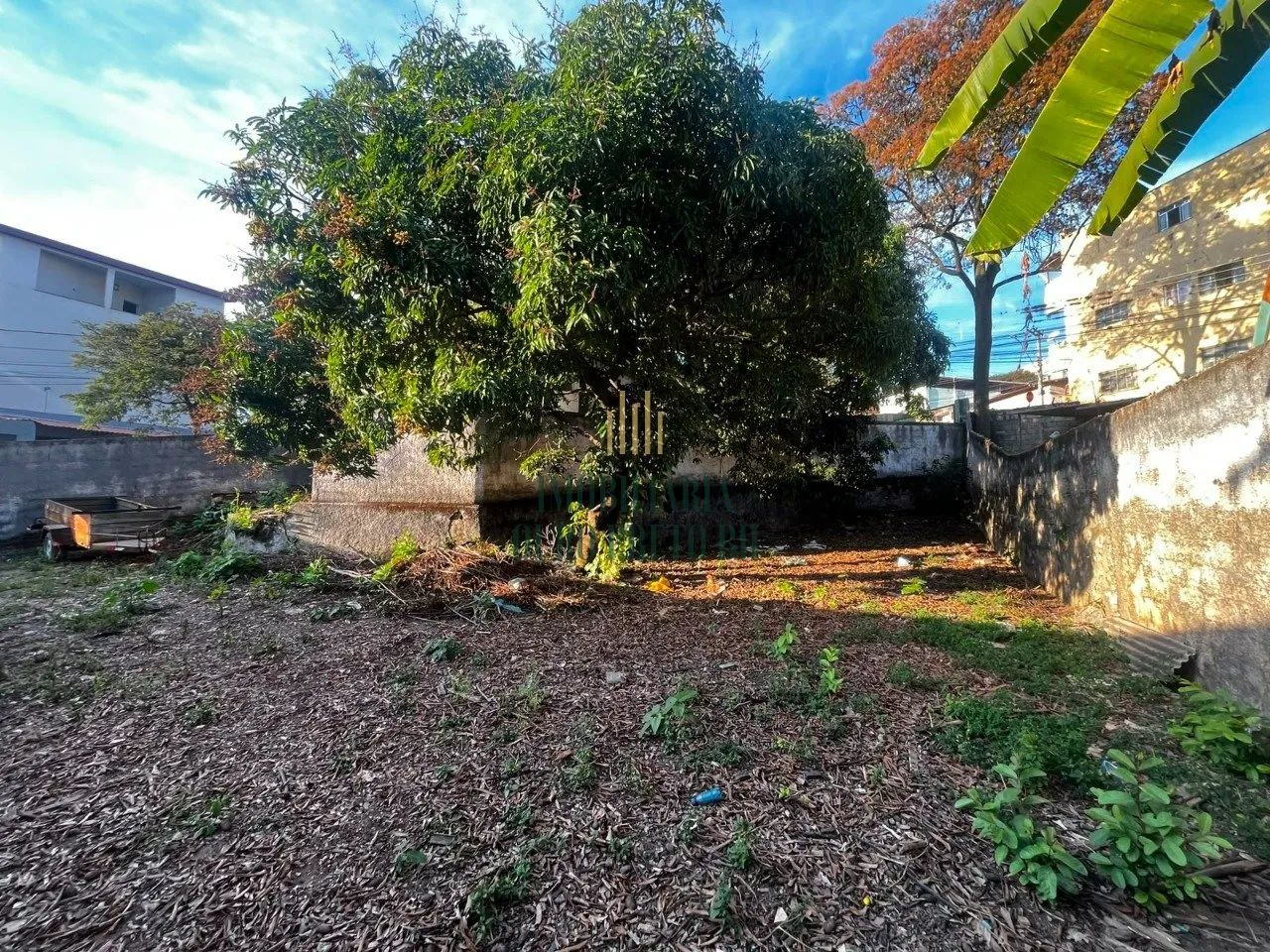 Lotes 600m² para venda - Caiçaras. - Foto 4