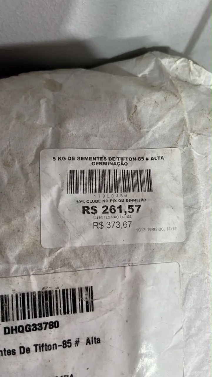 Sementes de pasto e gramas metade do preço  - Foto 5