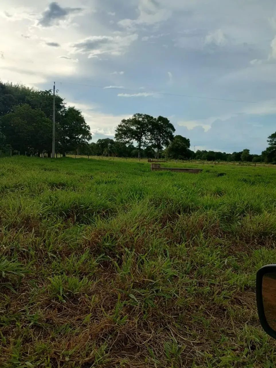 53,5 HECTARES TODA FORMADA 700 METROS DE ANASTACIO - Foto 2