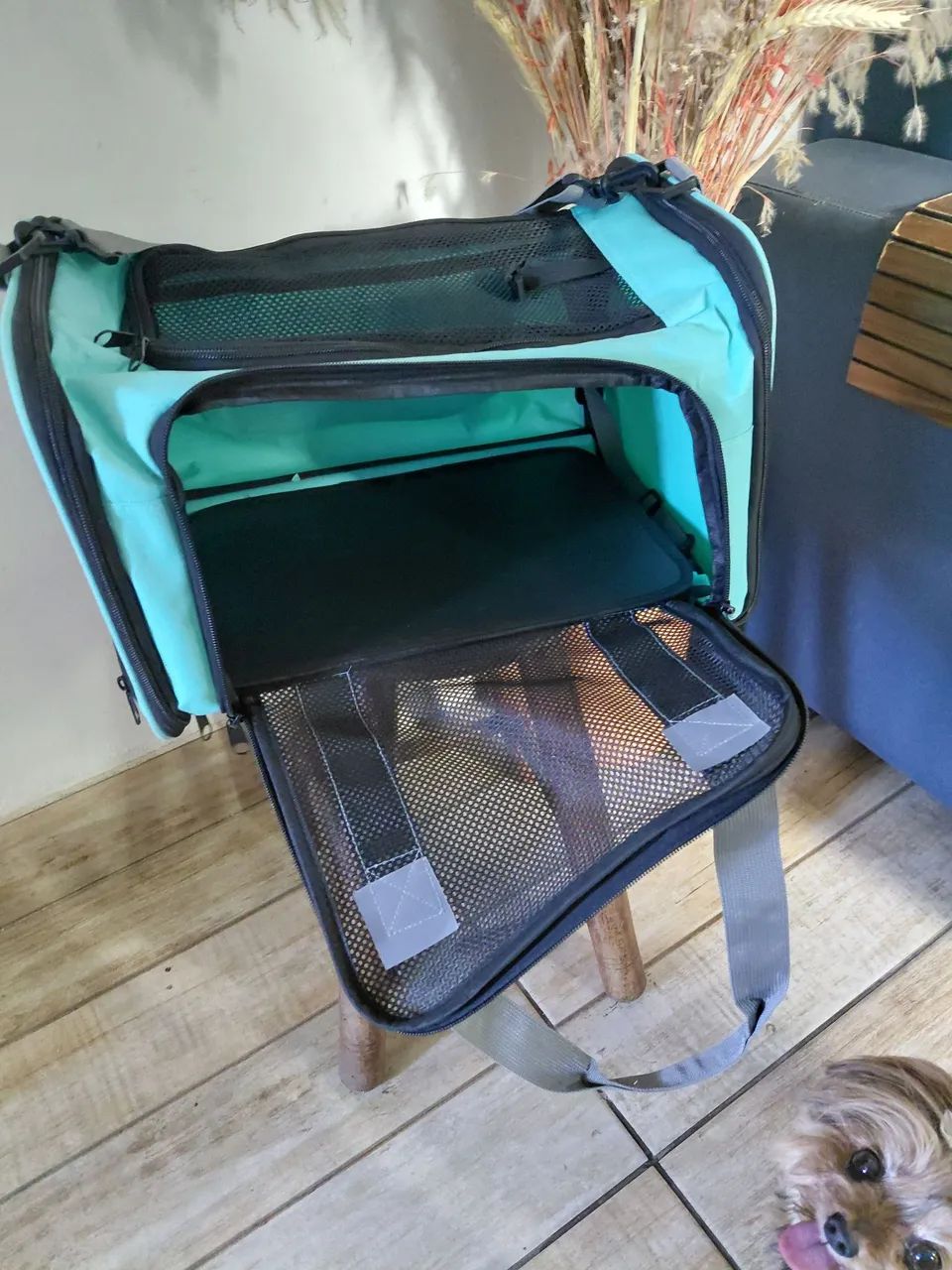 Bolsa de Transporte para pets de até  5 kg - Foto 4