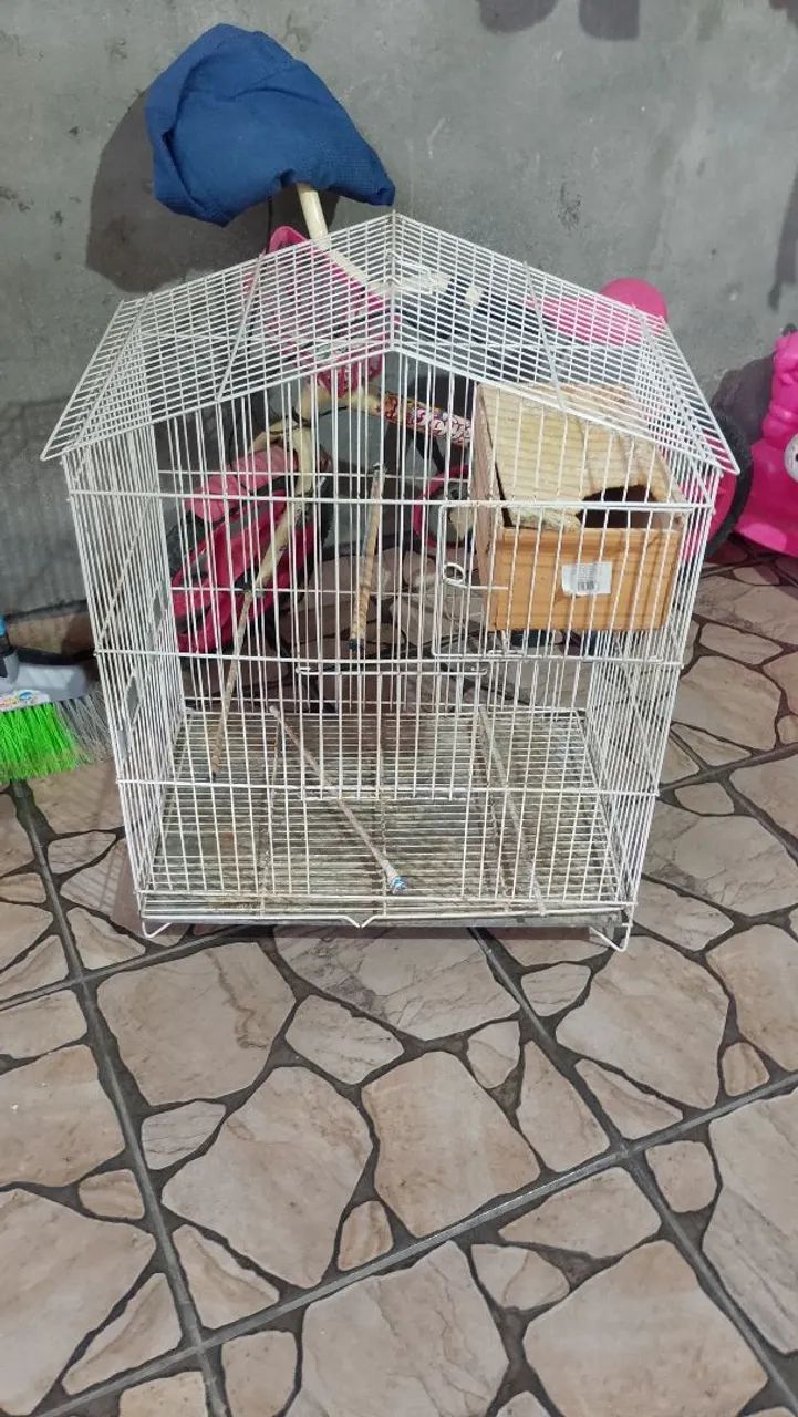 Gaiola Grande  - Foto 3