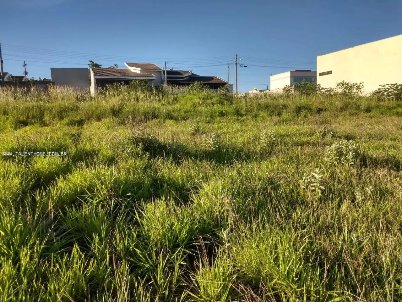 Terreno para Venda em Jacarezinho - Foto 3