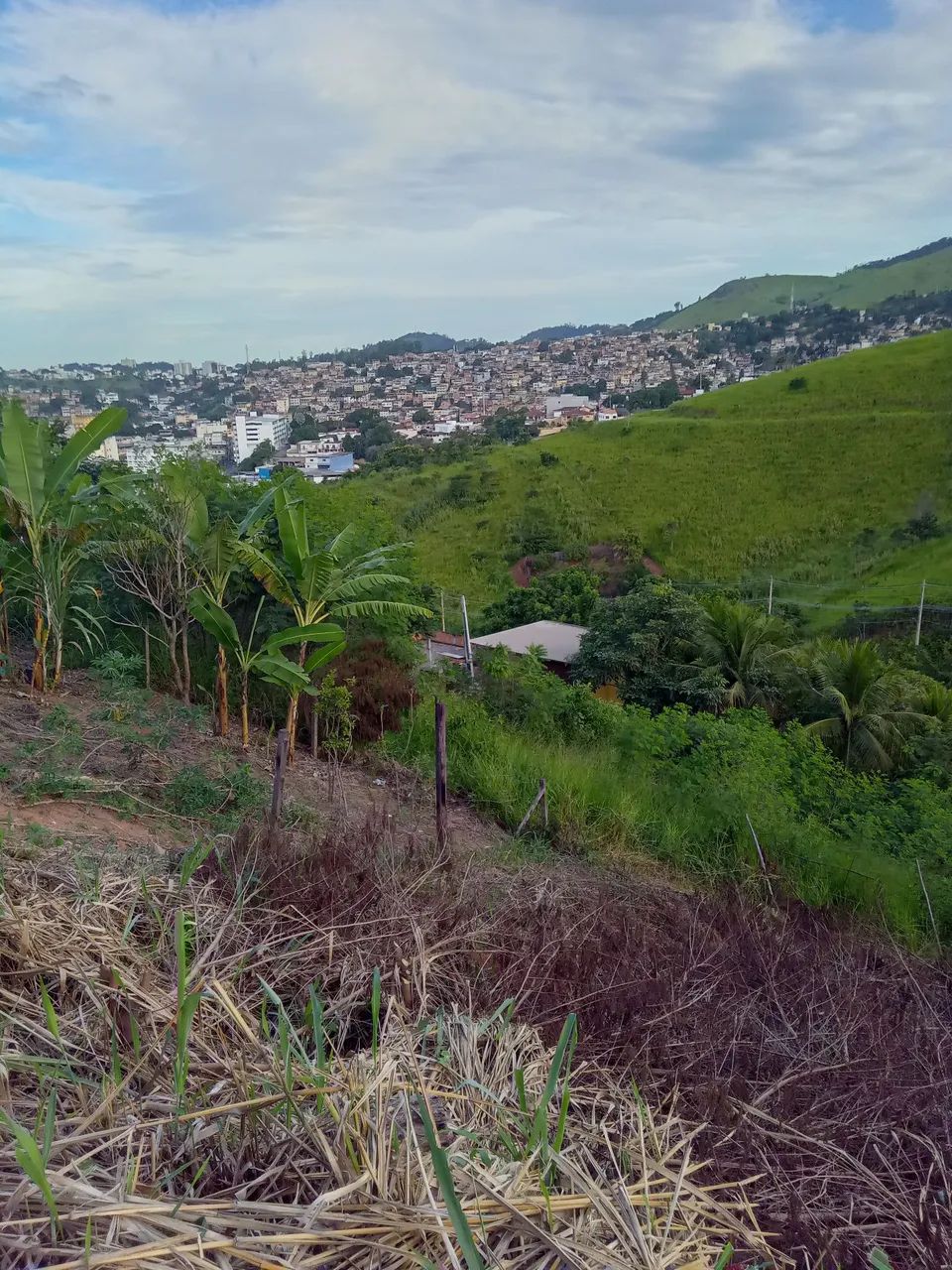 Terreno no vila rica