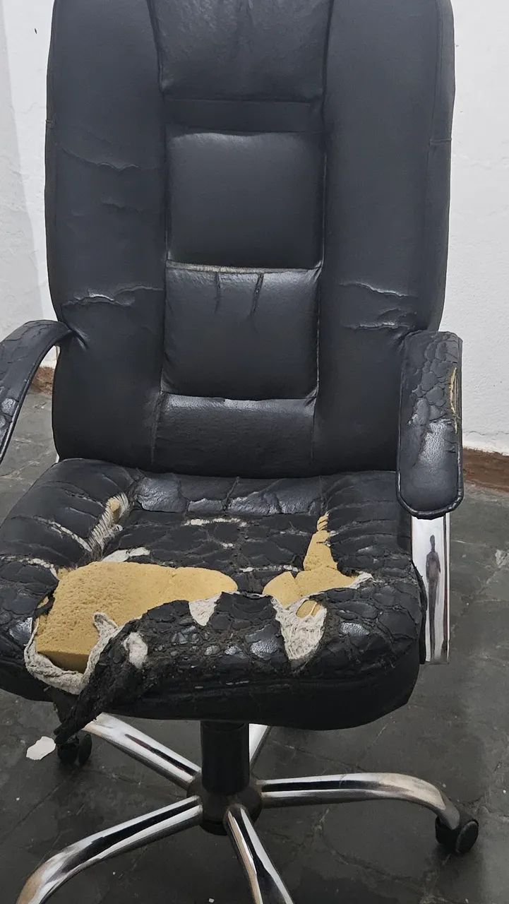 CADEIRA PRESIDENTE - Foto 4