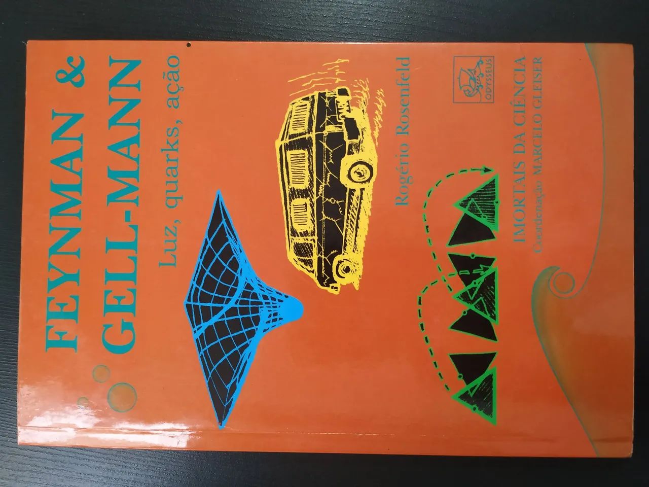 Livro Feynman e Gellman