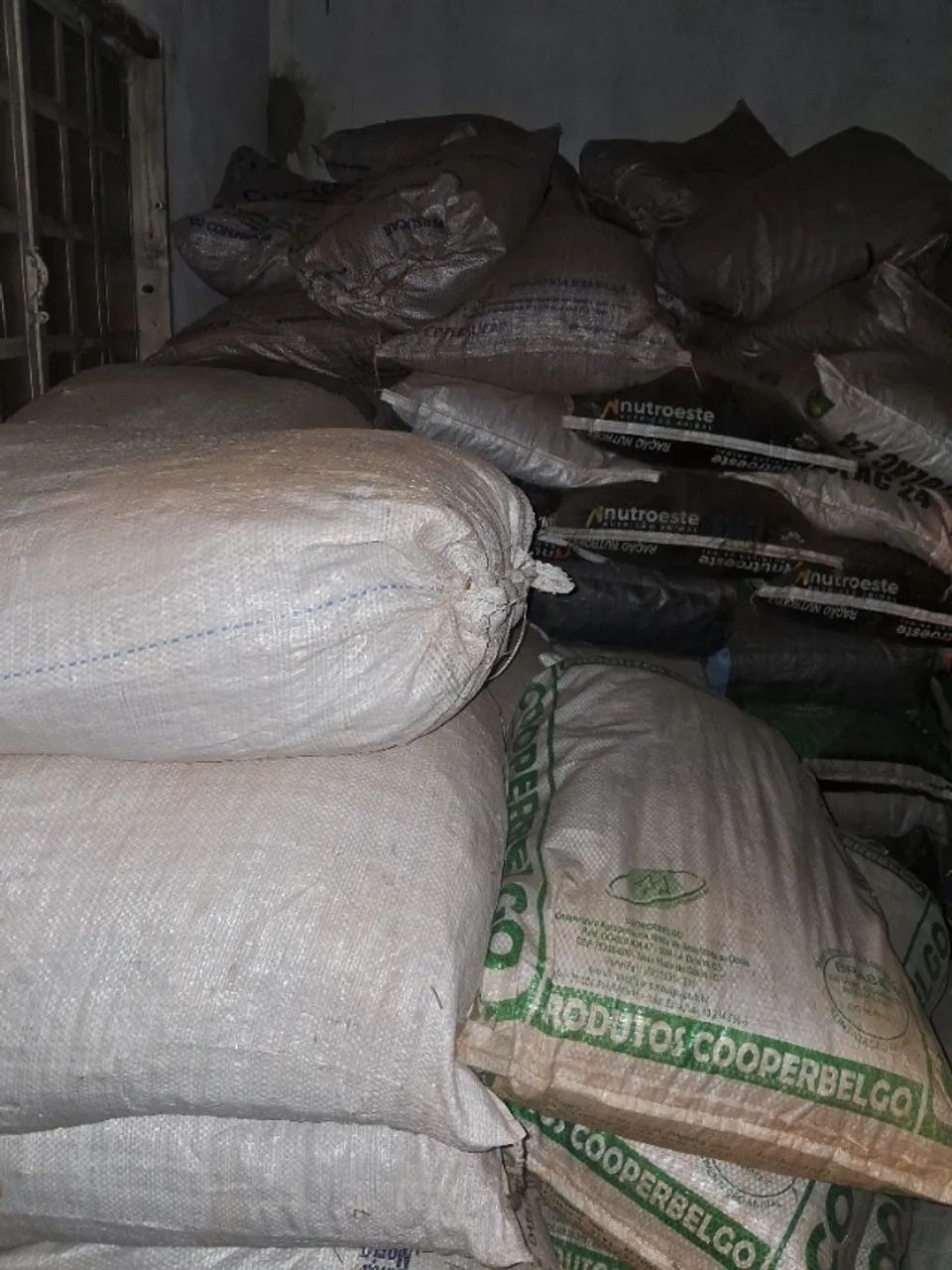 Sementes de agropolo disponível.