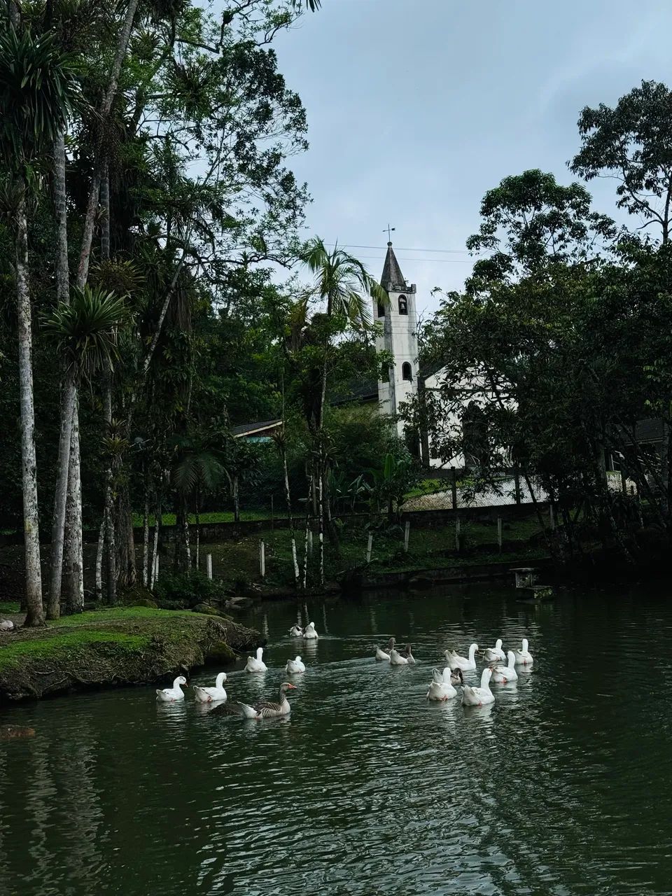 Chácara  em Morretes - Foto 6