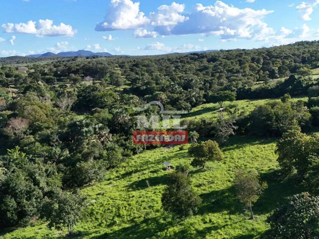 Chácara 10.5 Alqueires (51 hectares) Crixás - GO - Foto 3