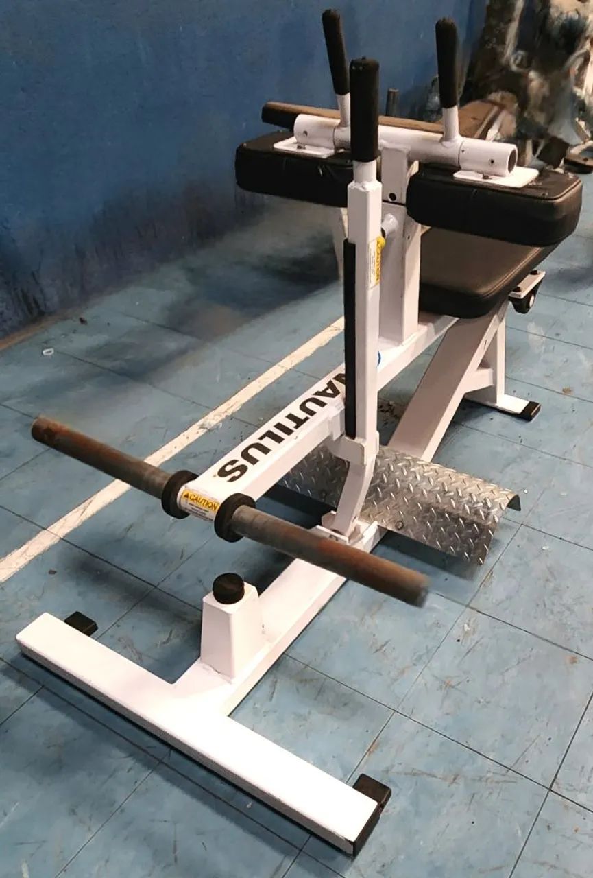 Seated calf raise xpload nautilus 