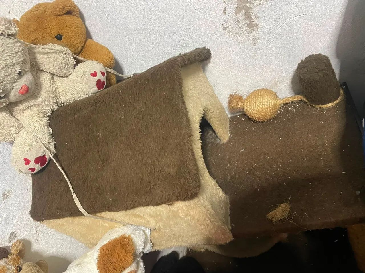Casinha para gato  - Foto 3