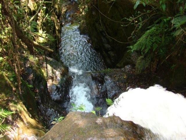 Fazenda, venda ou permuta - Foto 17