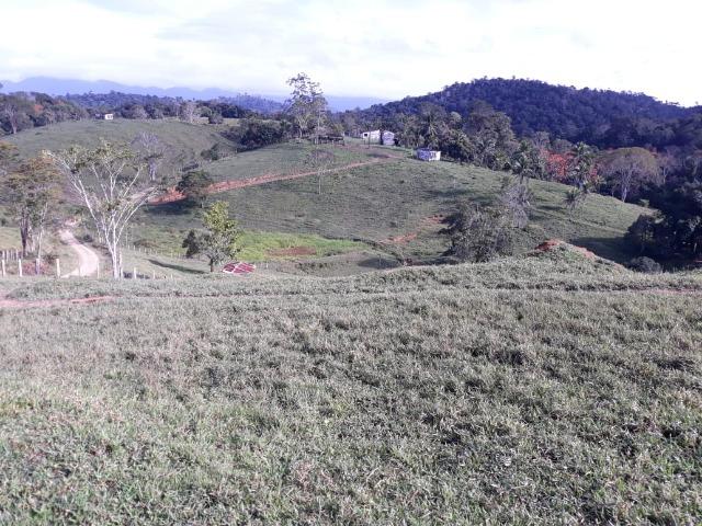 Fazenda em Camacã - Foto 15