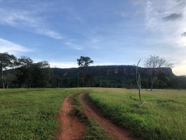 Fazenda em lugar paradisíaco, - Foto 6