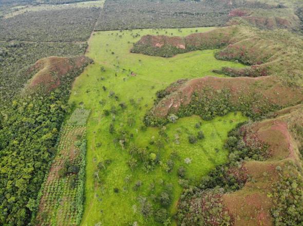 Fazenda em lugar paradisíaco,