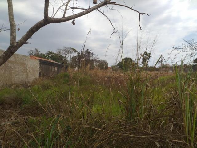 Terreno para venda no tropical de ville - Foto 4