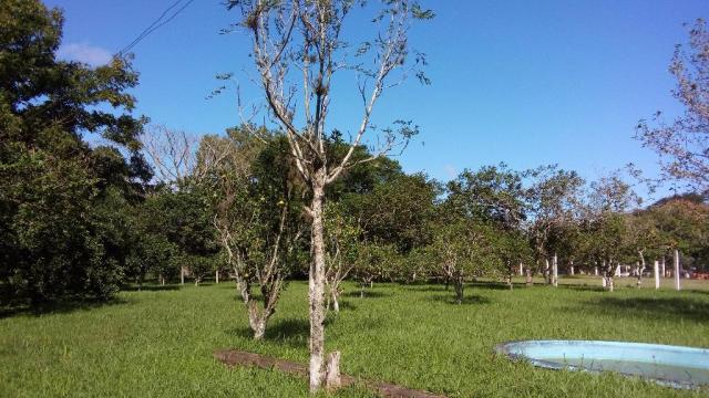 Terreno residencial à venda, Aberta dos Morros, Porto Alegre. - Foto 3