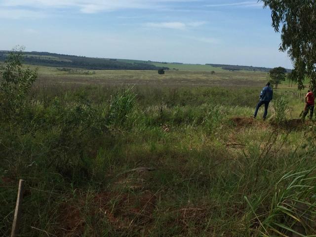 Fazenda. no Ms p Arrendamento de Lavouras 2650 há Show de Bola - Foto 14