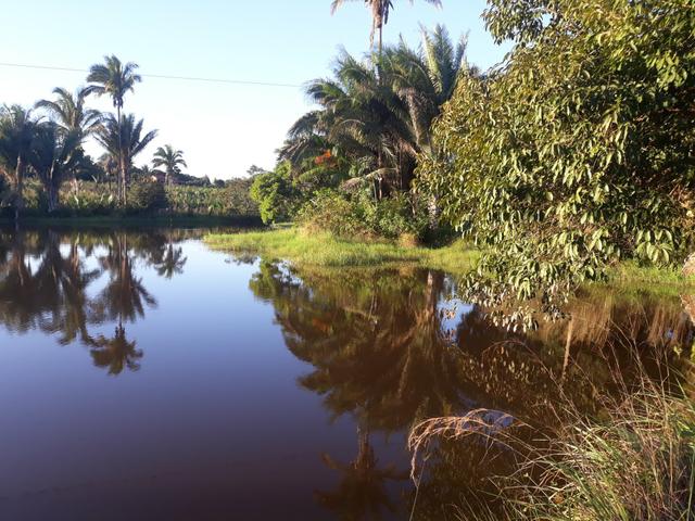 Vendo excelente chácara as margens da ma 216** 30 hectares em Penalva ma - Foto 10