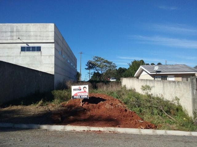 8287 | terreno à venda em mirante da serra, guarapuava
