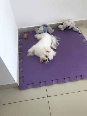 Procura namorada - Foto 2