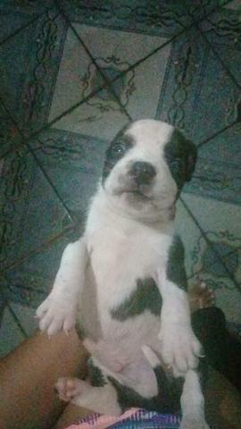Vendo ou troco - Foto 3