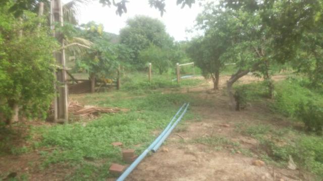Vendo excelente chácara!!! - Foto 3