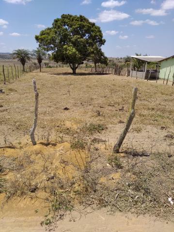 Terreno - Foto 4