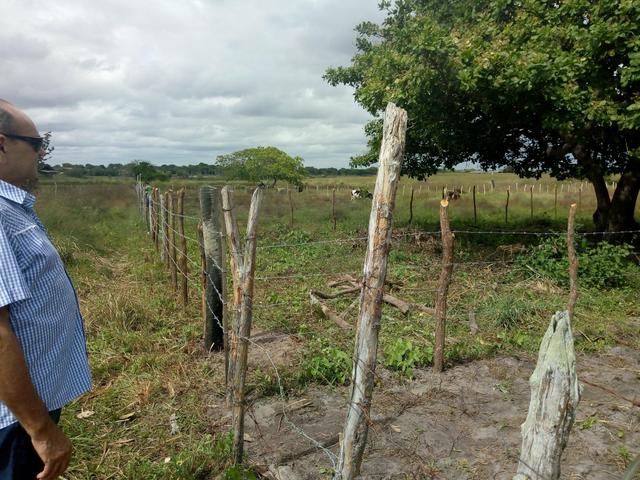 Terreno horizonte - Foto 16