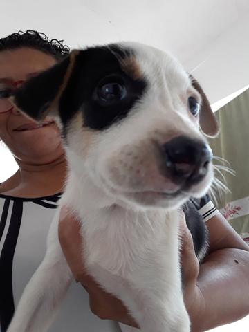 Doação - Foto 4