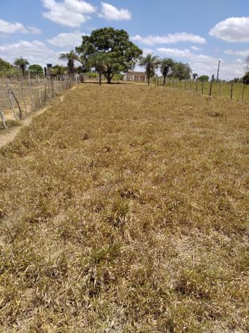 Terreno - Foto 3