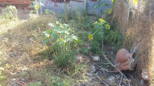 Terreno no Nova Caruaru