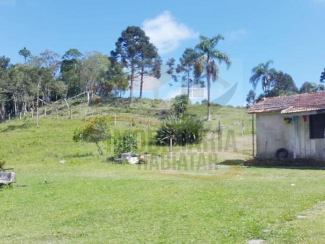 Fazenda no Taquari, Bocaiuva do Sul/PR - Foto 13