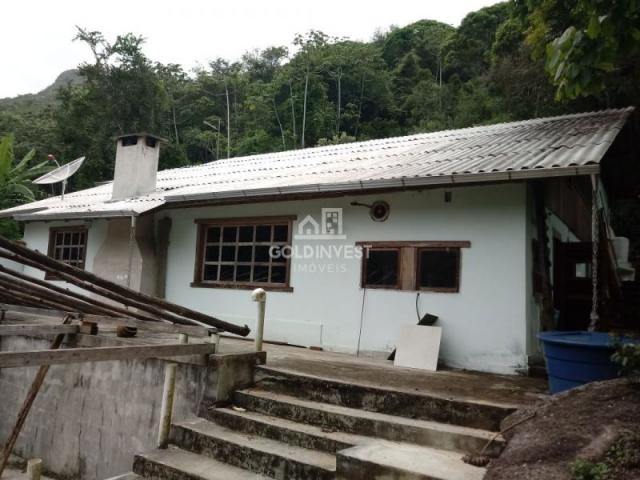 Sitio no Moura - Foto 4