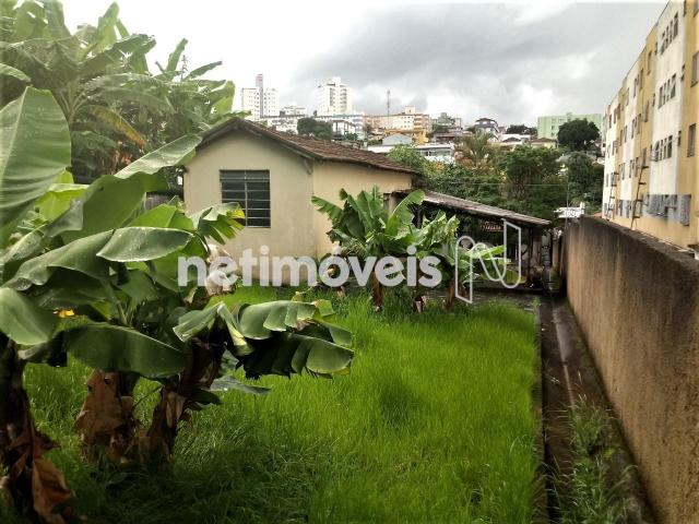 Casa à venda com 3 dormitórios em João pinheiro, Belo horizonte cod:733830 - Foto 3
