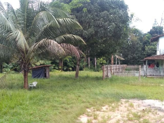 Sitio no cupiuba em Castanhal-Pa 100x450 R$ 120 mil reais troco em casa em Castanhal - Foto 9