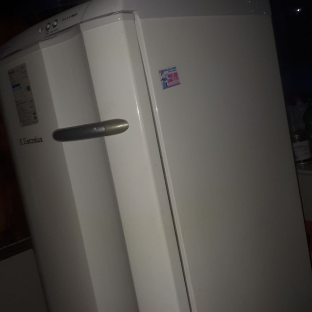 Freezer precisa trocar temporizador