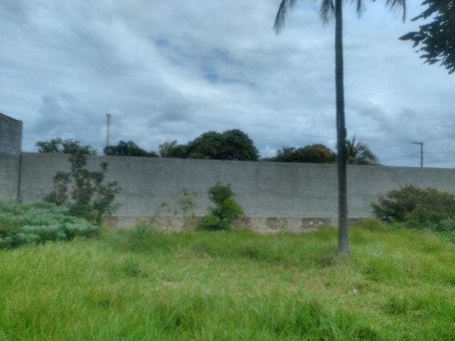 Pra vender logo! Terreno 7,5 x 30 Ótima oportunidade. - Foto 7