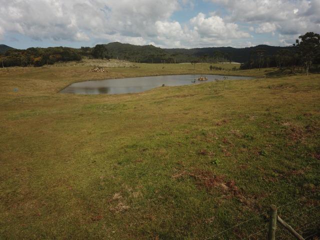 Terreno Urubici/ Chácara Urubici - Foto 12
